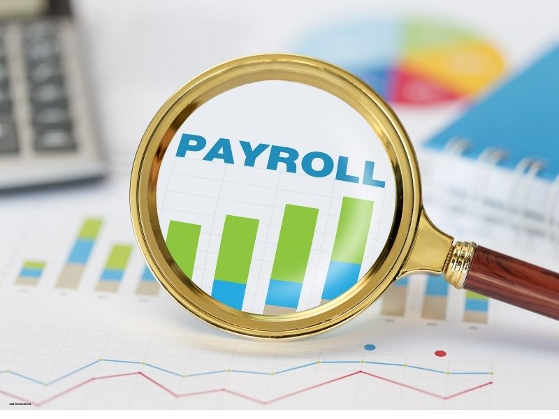 Wave Payroll: Best for Affordability