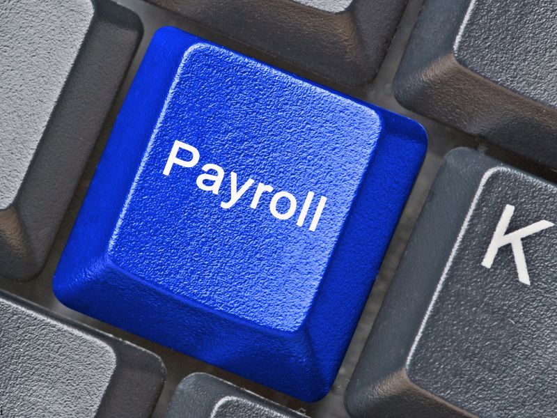 How to Choose the Right Payroll Software for Your Business