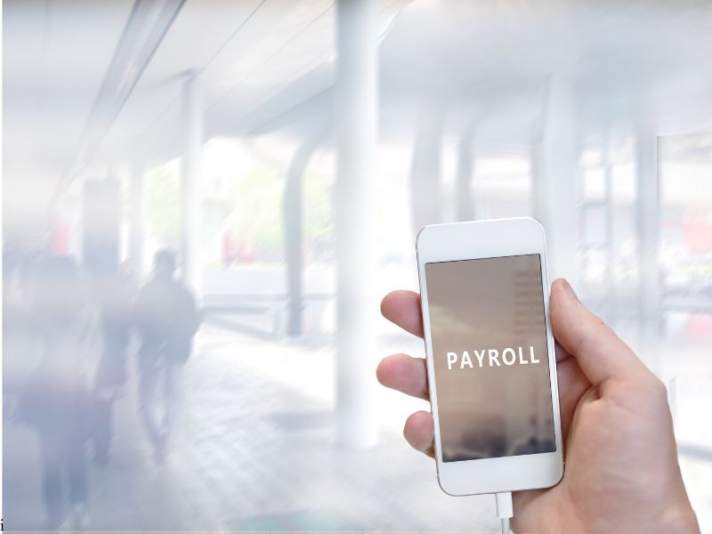 What is Payroll Software?