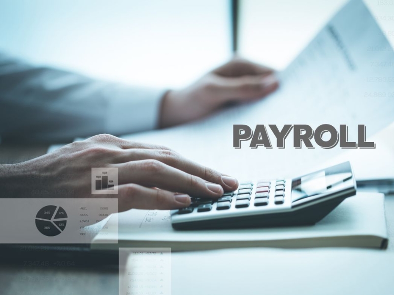 How Much Do HR and Payroll Services Cost?