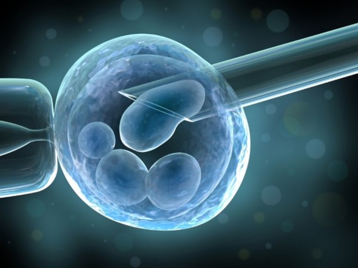 INTERVIEW: My egg donor agency billed me $3,400 for backing out. I fought back.